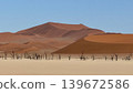 A desert landscape featuring art-like sand dunes and dead trees. 139672586