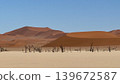 A desert landscape of massive sand dunes that look like they were carved with a spoon, and dry lakes. 139672587