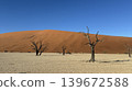 A clear desert landscape with withered trees against a backdrop of sand dunes and a dry lake. 139672588