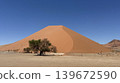 A daytime desert scene featuring a single tree and vast sand dunes. 139672590