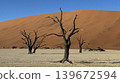 A desert landscape featuring three dead trees standing against a backdrop of a dry lake and sand dunes. 139672594