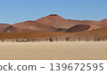 A desert landscape of vast sand dunes and withered trees standing in dry lakes. 139672595
