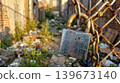 Macro View of Old Scratched Steel Padlock on Rusted Fence 139673140