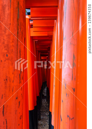 Holy tunnel of red torii gates lines the pathway at Fushimi Inari Taisha, Kyoto Holy tunnel of red torii gates lines the pathway at Fushimi Inari Taisha, Kyoto 139674358