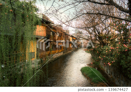 Historic wooden house along Shirakawa canal and flora blooming in spring at Gion, Kyoto Historic wooden house along Shirakawa canal and flora blooming in spring at Gion, Kyoto 139674427