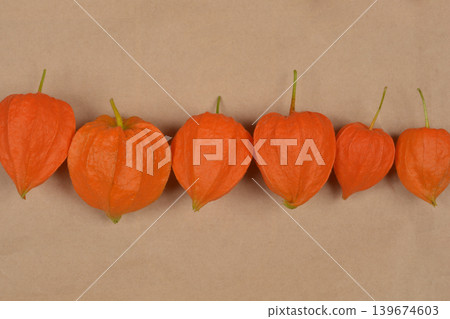 Chinese Lantern Plants in a Horizontal Row 139674603