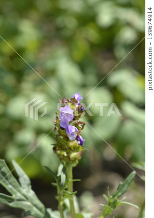 Intermediate Self Heal Intermediate Self Heal 139674914