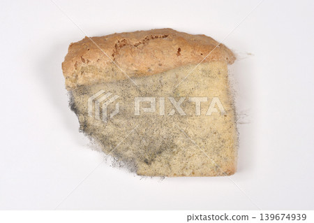 Moldy Slice of Bread on White Background Moldy Slice of Bread on White Background 139674939