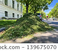 Heap of freshly cut grass and garden waste on a sunny residential street with trees, cyclist and parked cars. Urban landscaping and seasonal yard work concept 139675070