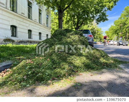 Heap of freshly cut grass and garden waste on a sunny residential street with trees, cyclist and parked cars. Urban landscaping and seasonal yard work concept Heap of freshly cut grass and garden waste on a sunny residential street with trees, cyclist and parked cars. Urban landscaping and seasonal yard work concept 139675070