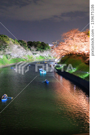 Cherry blossoms illuminated at night and boating at Chidorigafuchi 139675186