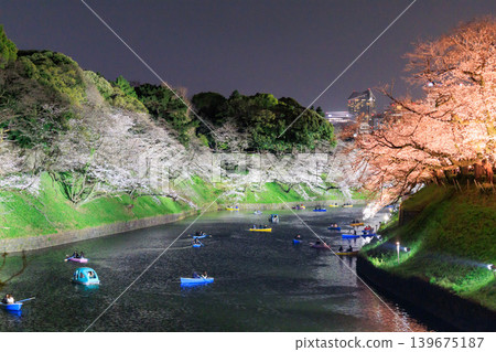 Cherry blossoms illuminated at night and boating at Chidorigafuchi 139675187
