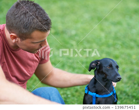 Man, dog and outdoor park for bonding connection, pet health training for obedience. Male person, animal and hugging at rescue shelter garden for happy home care play, environment walk on grass field Man, dog and outdoor park for bonding connection, pet health training for obedience. Male person, animal and hugging at rescue shelter garden for happy home care play, environment walk on grass field 139675451