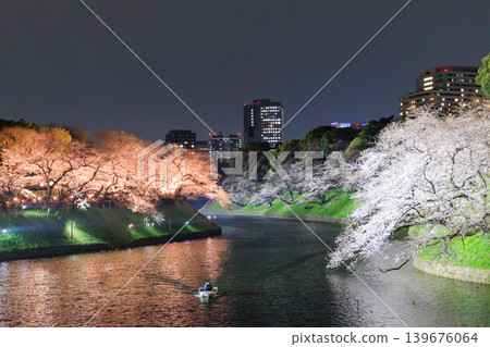 千鳥淵的夜櫻與東京市中心的春日景色 千鳥淵的夜櫻與東京市中心的春日景色 139676064