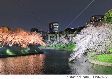 千鳥淵的夜櫻與東京市中心的春日景色 千鳥淵的夜櫻與東京市中心的春日景色 139676070