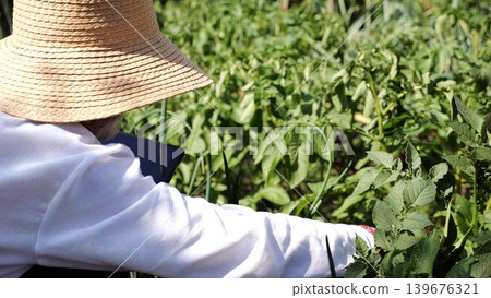 Senior ukrainian man in straw hat using digital tablet on summer garden. Elder male wearing in traditional vyshyvanka monitoring harvest on land. Connection between traditional and modern life Senior ukrainian man in straw hat using digital tablet on summer garden. Elder male wearing in traditional vyshyvanka monitoring harvest on land. Connection between traditional and modern life 139676321