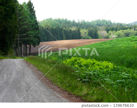 位於岩手縣的小岩井農場，林間道路蜿蜒，新開墾的牧場也清晰可見。小岩井農場很早就開始關注環境議題，其森林和牧場是其致力於環境保護的有力證明。 139676610