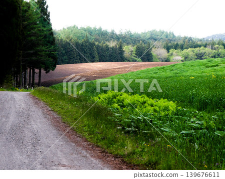 Forest roads and newly tilled pastures at Koiwai Farm in Iwate Prefecture. Koiwai Farm has been addressing environmental issues from an early stage, and its forests and pastures are a testament to its commitment to environmental protection. Forest roads and newly tilled pastures at Koiwai Farm in Iwate Prefecture. Koiwai Farm has been addressing environmental issues from an early stage, and its forests and pastures are a testament to its commitment to environmental protection. 139676611
