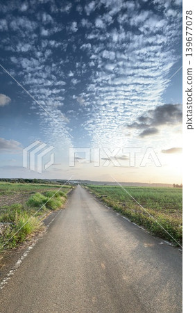 A straight road 139677078