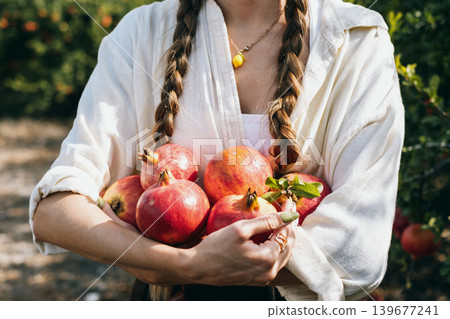 Harvesting fresh pomegranates in an orchard with braided woman in white blouse on sunny day Harvesting fresh pomegranates in an orchard with braided woman in white blouse on sunny day 139677241