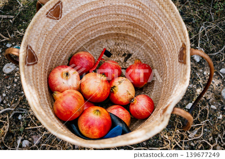 Fresh red pomegranates in a woven basket outdoors Fresh red pomegranates in a woven basket outdoors 139677249