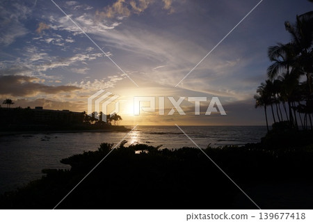 夏威夷大島的沙灘和日落時的棕櫚樹。 139677418