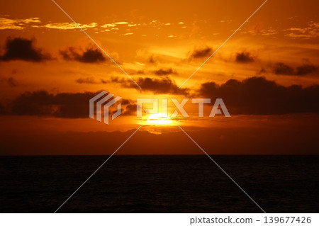 Sunset on the Big Island of Hawaii and the silhouettes of palm trees. 139677426