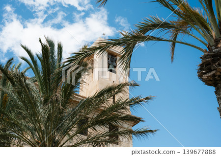 Historic bell tower among tropical palms against a clear blue sky 139677888