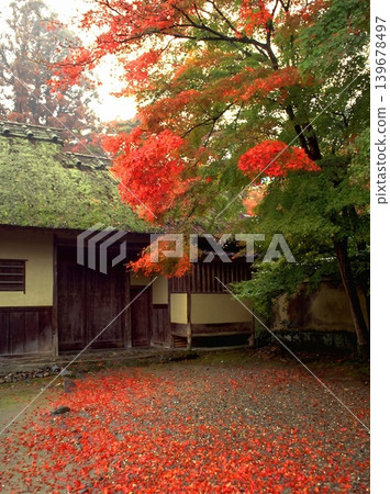 japanese garden in autumn japanese garden in autumn 139678497