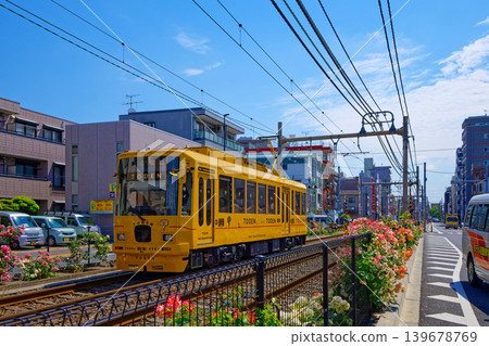 TODEN8501 TODEN 電車與盛開的玫瑰:車輛更新項目 TODEN8501 TODEN 電車與盛開的玫瑰:車輛更新項目 139678769