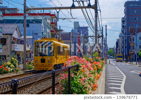 TODEN8501 TODEN 電車與盛開的玫瑰：車輛更新項目 139678771