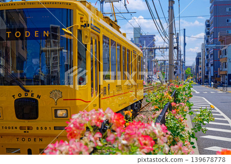 TODEN8501 TODEN Streetcar and Roses in Full Bloom: Vehicle Renewal Project 139678778