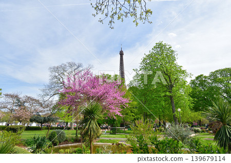 European redbuds in bloom in Trocadéro Square and the Eiffel Tower: A spring scene in Paris (April 11, 2022) European redbuds in bloom in Trocadéro Square and the Eiffel Tower: A spring scene in Paris (April 11, 2022) 139679114