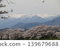 A thousand cherry trees in a single view, in collaboration with the snow-capped Zao mountain range. 139679688