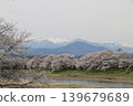 A thousand cherry trees in a single view, in collaboration with the snow-capped Zao mountain range. 139679689