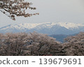 A thousand cherry trees in a single view, in collaboration with the snow-capped Zao mountain range. 139679691