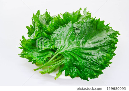 Fresh, large shiso leaves Fresh, large shiso leaves 139680093