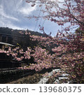 櫻花的風景 139680375