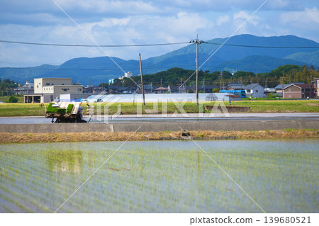 福鐵福部線穿過已經開始插秧的鄉村地區。 139680521