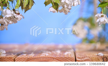Cherry blossoms hang over a wooden table under a bright blue sky during springtime Cherry blossoms hang over a wooden table under a bright blue sky during springtime 139680642