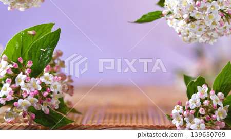 Bright flowers float above a textured surface in a simple setting during afternoon light Bright flowers float above a textured surface in a simple setting during afternoon light 139680769