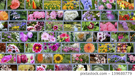 Flower collection displayed in a grid format showing various types and colors with different backgrounds and settings Flower collection displayed in a grid format showing various types and colors with different backgrounds and settings 139680779
