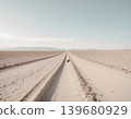 A quiet, minimalist composition of a cat on an endless sandy path. 139680929
