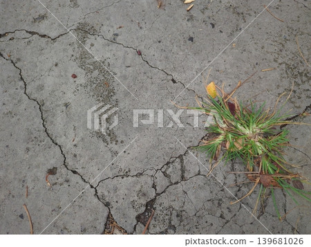 A cracked gray concrete surface with a tuft of green grass growing through a fissure. The rough, broken ground is contrasted by the resilient life of the plant. 139681026