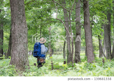 A woman enjoying a healthy outdoor lifestyle, walking and taking in the scenery of a lush green forest while hiking and climbing (faceless). A woman enjoying a healthy outdoor lifestyle, walking and taking in the scenery of a lush green forest while hiking and climbing (faceless). 139681338