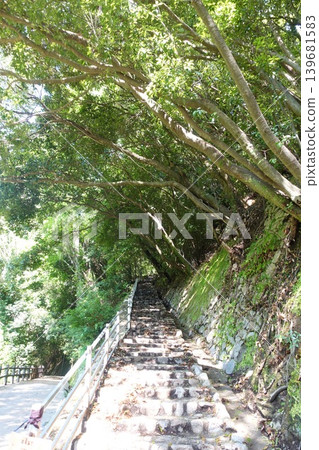 The stone walls of the shrine and the fresh greenery of the approach create a healing natural scene that evokes the tranquility of the forest in early summer. The stone walls of the shrine and the fresh greenery of the approach create a healing natural scene that evokes the tranquility of the forest in early summer. 139681583