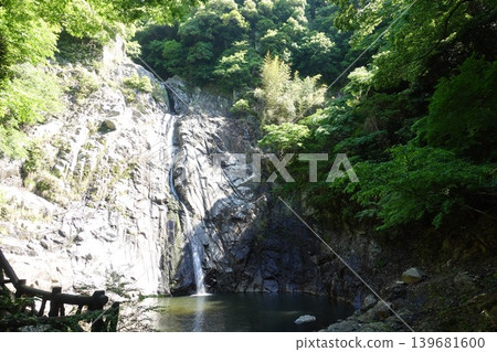 The magnificent panoramic view of Nunobiki Falls: Kobe's famous waterfall and fresh greenery. The magnificent panoramic view of Nunobiki Falls: Kobe's famous waterfall and fresh greenery. 139681600