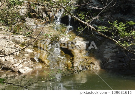Small waterfalls in the mountain stream and fresh greenery: a healing mountain valley landscape. Small waterfalls in the mountain stream and fresh greenery: a healing mountain valley landscape. 139681615
