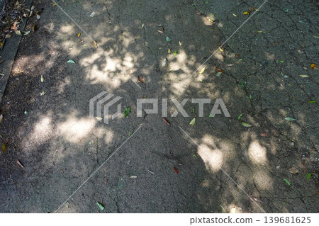 Ground texture with dappled sunlight filtering through trees; natural light and shadow background. Ground texture with dappled sunlight filtering through trees; natural light and shadow background. 139681625