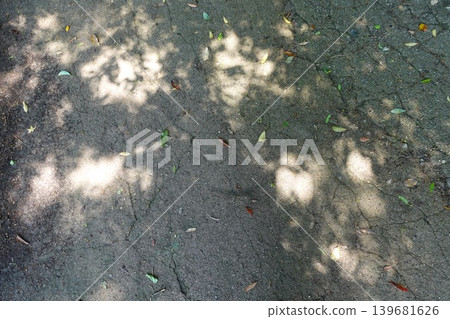 Sunlight filtering through trees casts shadows on the ground, creating a natural textured background. Sunlight filtering through trees casts shadows on the ground, creating a natural textured background. 139681626